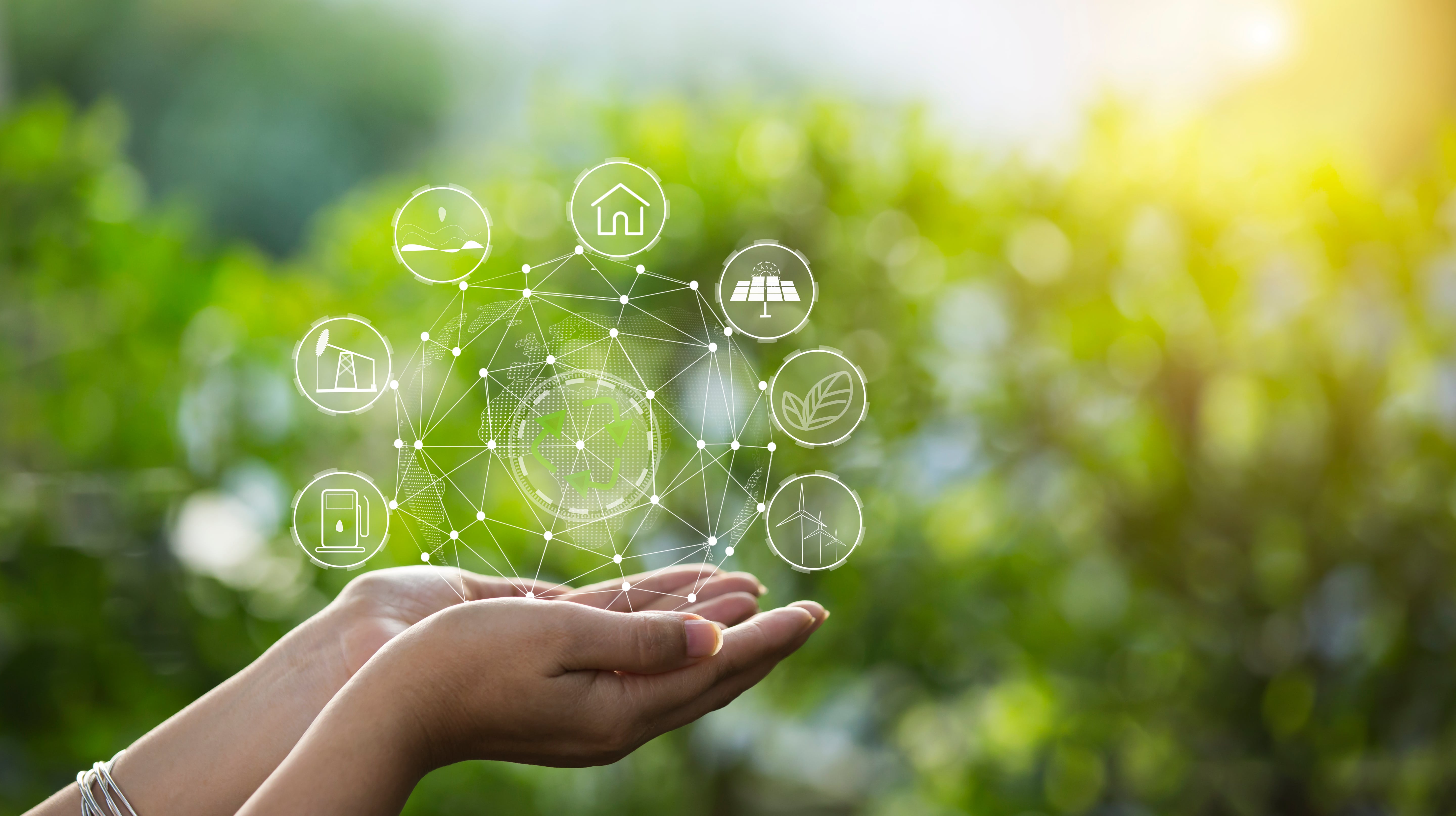 European Long Term Ecological Research Network EUDAT